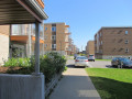 1980-01-01-00.05.10.jpg